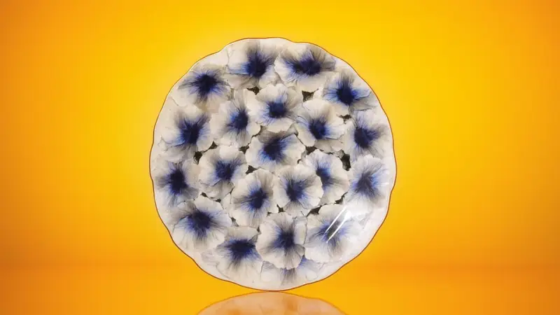خرید امن از نمایندگی رسمی چینی زرین در شیراز