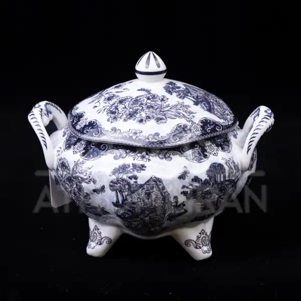 سرویس پذیرایی چینی